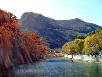 新澳天天开奖资料大全旅游团，五粮液拍卖